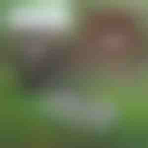 Multifunktionelt haveværktøj til jordpleje | PRONGSPRO