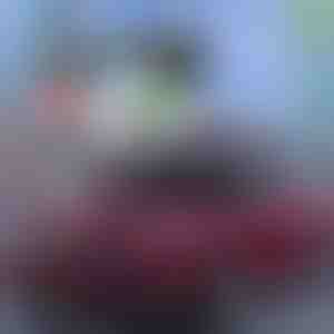 Bedste sommerskjold til biler | CARCOVER