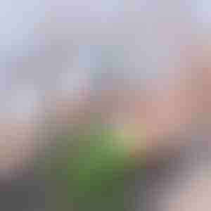 Avanceret aktivkul-vandhanefilter | CHARFILTER