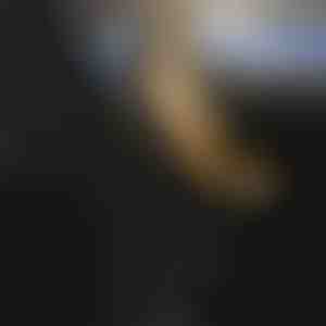 Polstret bilsædebetræk til alle biler | CUSHYRIDE