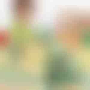 Dinosaur Trappeklatrer | DINOCLIMBER