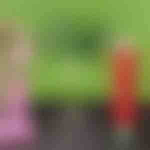 Organisk langtidsvirkende gødning i tabletform | FERTIGROW