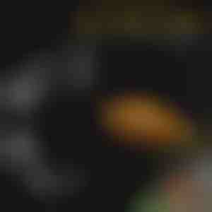 Akvariefoderbakke-sæt | FINTROL