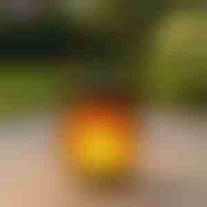 Solarlanterner med dansende flammeeffekt | FLAMLUX