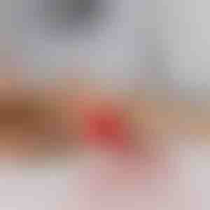 Kæledyrslegetøj, der bevæger sig ved berøring | GATOPLAY