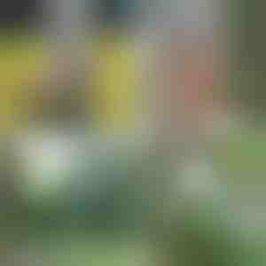 Bærbar brusepumpe - Genopladelig via USB, 4-5 L/min, 1,5 m slange | HYDROPORT