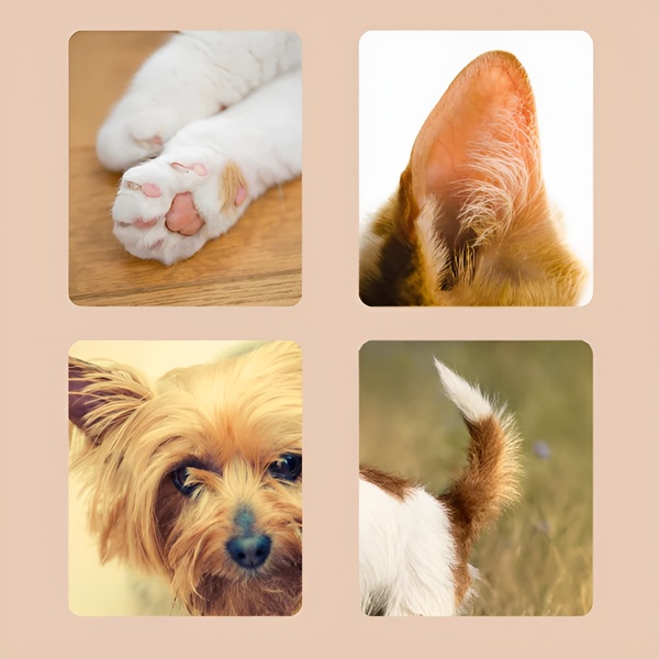 PAWTRIMI ergonomisk design