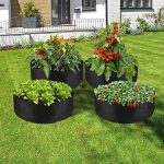 PLANTIE