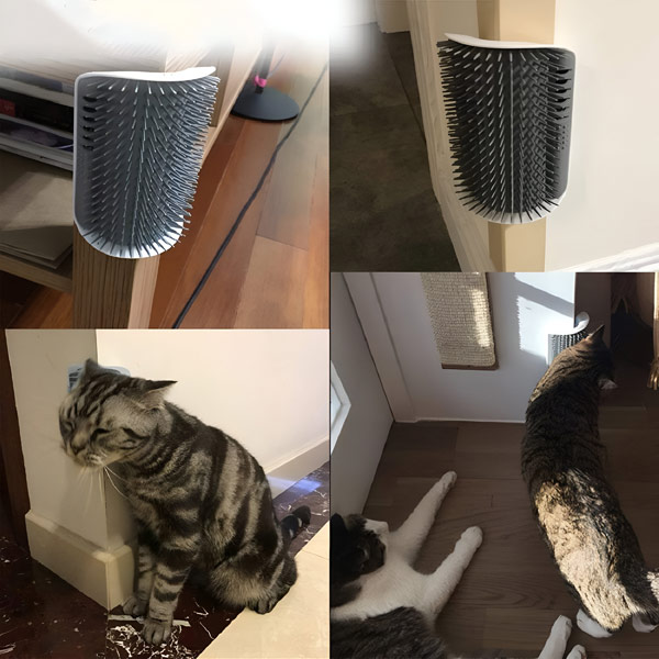 PURRCORNER