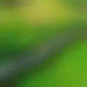 Stenlignende havekant (10 stk.) | MINIFENCE