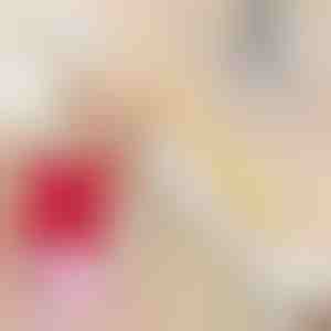 Pletfjernerservietter (20 stk.) | STAINIX