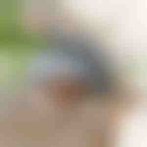 Interaktiv fuglelegetøj med flagrende vinger | CHIRRCAT