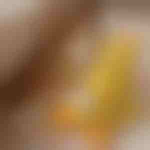 Blødt kvidrende plysdyr | CALMQUA